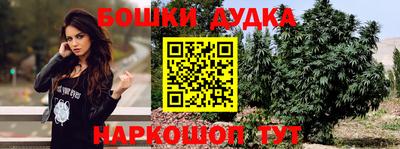 прущие грибы Севастополь